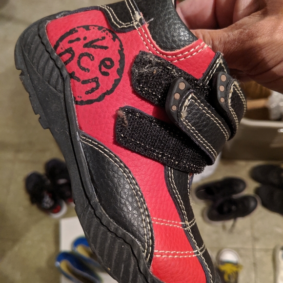 Vicente - Picture 2 of 4